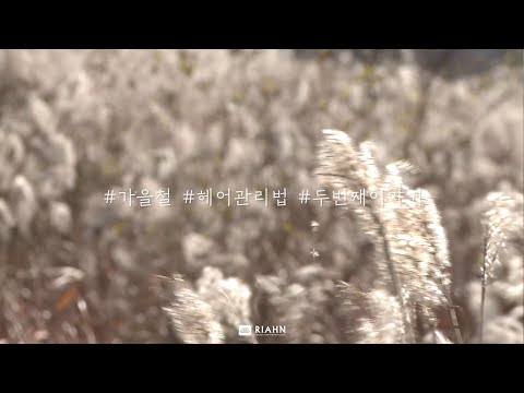 가을철 헤어관리법 2번째 이야기🍁🍂