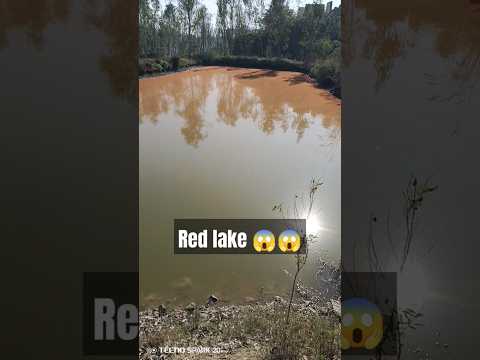 Red lake😱😱😱