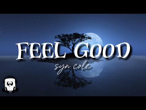 Syn cole - Feel good (no copyright music)