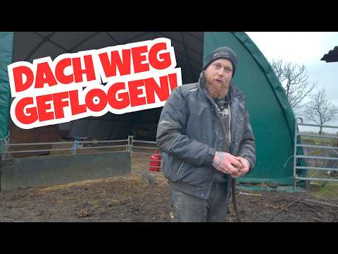 😱 Roof blew away and pipes froze 🤯 - FarmVLOG#1064