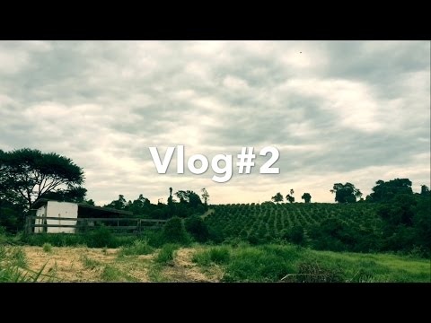 Vlog#2: Avara luonto