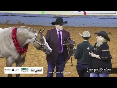 Select 2-Year-Old Stallions - 2024 AQHA World Championship Show