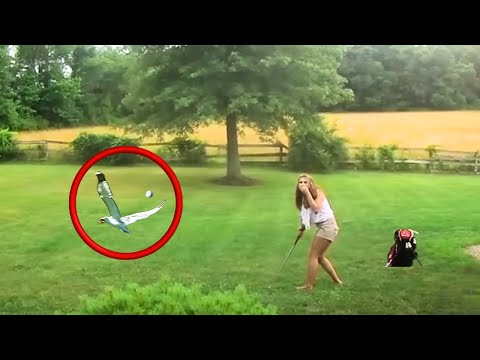 The DUMBEST Golf Moments Ever Recorded