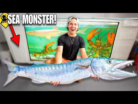 Catching SEA MONSTERS & WILD AQUARIUM FISH For My SALTWATER Lobster Aquarium!