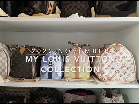 2022 11 Authentic Louis Vuitton | My Current Collection | Mod Shots