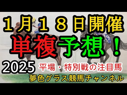 【単複平場予想】2025年1月18日JRA平場戦！紅梅ステークスや菜の花賞など3歳牝馬のレースが楽しみな1日！平場・特別戦を楽しむ8頭！