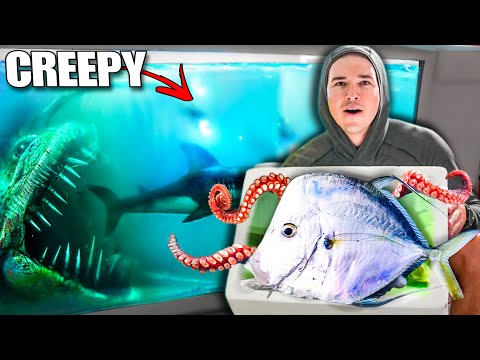 Catching CREEPY FISH At Night For My Aquarium...