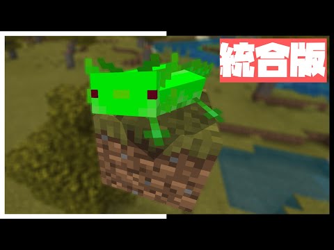 緑のウーパールーパーがめちゃかわいい件【マイクラPE/BE】【アドオン紹介#9】