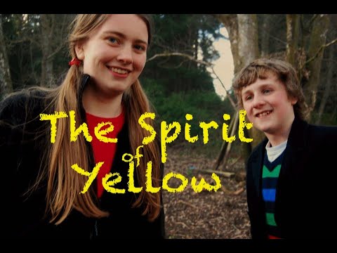 THE SPIRIT OF YELLOW (2013)