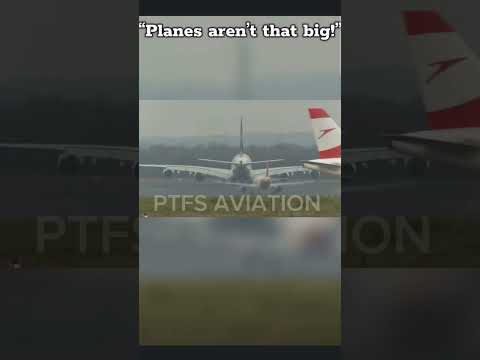 planes aren't that big💀 #ptfsaviation #automobile #airplane  #shorts #fyp #viralvideo