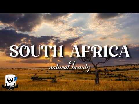 Natural beauty of south africa (4k cinematic video)