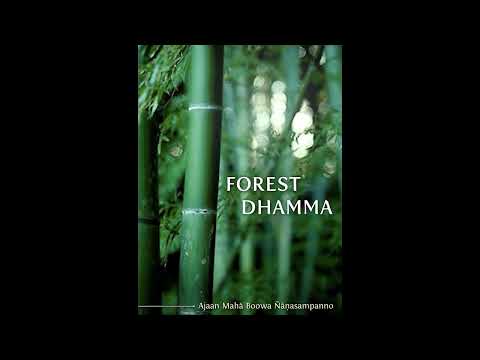 Forest Dhamma Part 07 : The Funeral Desanā