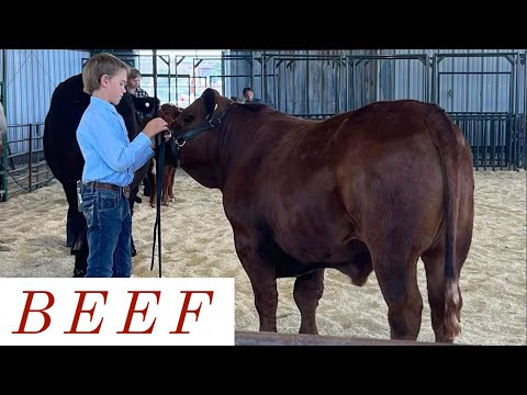 JERRY’S A SIMPLE MAN | PATRICK’S 4H STEER | FIXING BROKEN PIPE