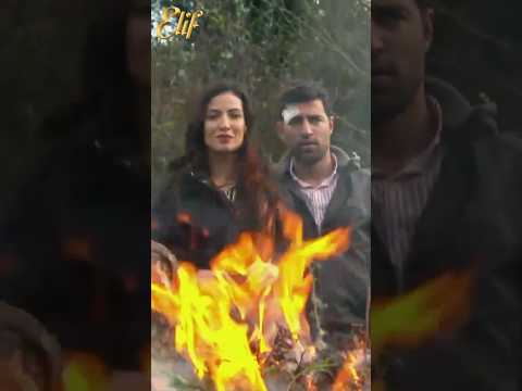 خطة أرزو السيئة | #shorts #elifarabic #elif