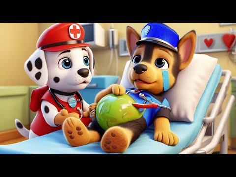 What Happened to Chase? Why Is He in the Hospital?! Paw Patrol Ultimate Rescue | Rainbow 3