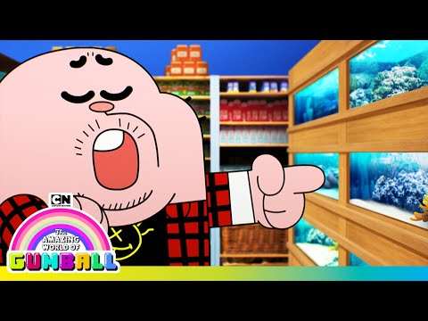 A Fish Called Darwin | Gumball | Cartoon Network