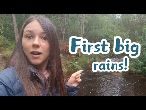 WE HAD OUR FIRST AUTUMN RAINS! Let's check the rivers...