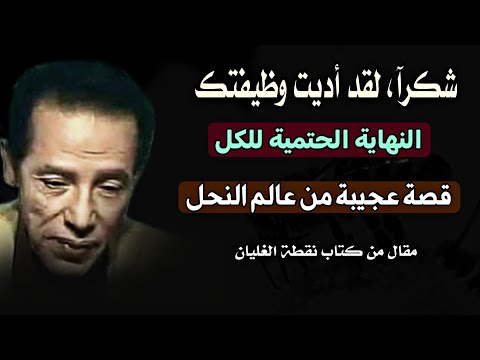 مقال: شكراً... لقد أديت وظيفتك | قصة عميقة من عالم النحل من كتاب نقطة الغليان للدكتور مصطفى محمود