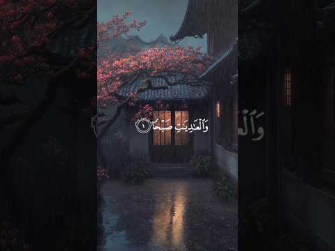 ❤️ Heart Touching Peaceful Quran Recitation With Rain and Thunder #quran #quranrecitation #rain