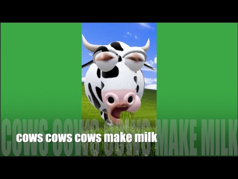 SONGS FOR KIDS: Cow Cows Cows Make Milk