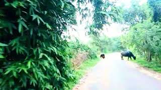 My Village | Bike Tour Village | The Most Beautiful Village | Ram Explorer