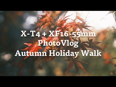 【紅葉狩りPhoto Vlog】FUJIFILM X-T4 + XF16-55mm F2.8 R LM WR で秋の休日お散歩スナップ