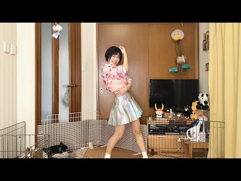 ルカルカ★ナイトフィーバー 2015を踊ってみた【愛川こずえ】