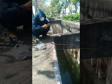 mancing di tengah kota surabaya