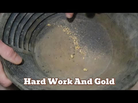 Prospecting Triumphs And Failures#goldpanning #goldprospecting