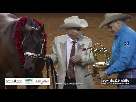 Select Aged Mares - 2024 AQHA World Championship Show