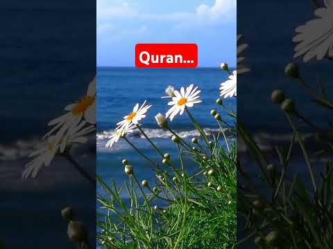 Quran Urdu translation