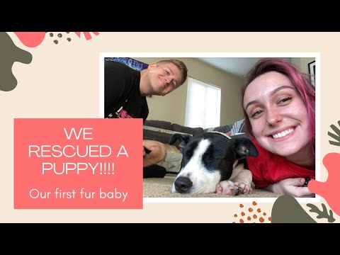 WE RESCUED OUR FIRST PUPPY!!!!