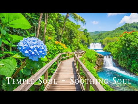 Temple Soul - Soothing Soul