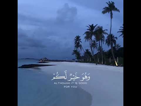 Beshak #youtubeshorts #quranverses #shortsvideo