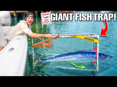 SEA MONSTER Caught In GIANT FISH TRAP!