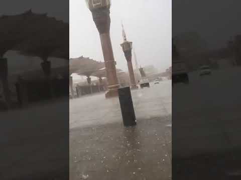 Rain in Madina #shorts