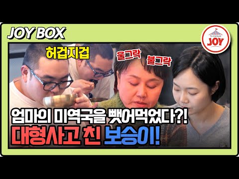 [#조선의사랑꾼] 방송도 잊고 표정 굳어진 이경실💢 갑작스런 손보승의 식탐에 이유가 있다고?! #TV조선조이 (TV CHOSUN 250310 방송)