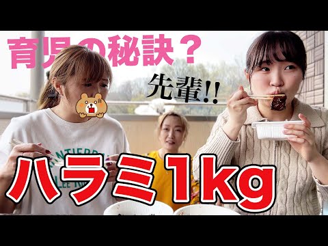 みみねぇ育児お疲れさま‼️姉の大好物ハラミ1kgで接待しながらいろいろ聞いてみた‼️