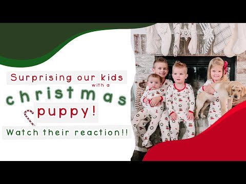 Surprising Our Kid's With A PUPPY for Christmas!!