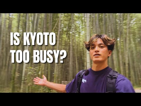 Is Kyoto Overcrowded? A Walk Through Arashiyama Bamboo Forest