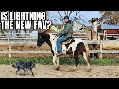 Kyle Rides Lightning For The First Time!!! I’m A Little Nervous 😂