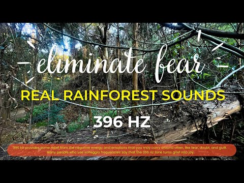 Eliminate Fear and Let Go of the Doubt and Guilt - 396 Hz Meditation with Real Rainforest Sounds