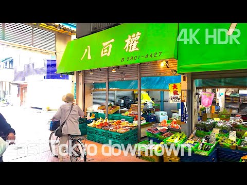 [4K/HDR] East Tokyo Downtown Walk | Arakawa City, Tokyo, Japan | Google Maps and subtitles