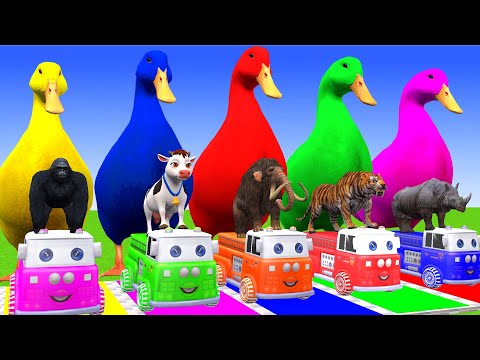 5 Giant Duck Cartoon,Cow,Elephant,Tiger,Lion,Dinosaur,Paint Wild Animals Crossing Fountain Animation