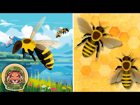 Honey Bees Song | Animal Songs For Kids | KLT Wild