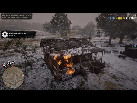 RDR2 (PC Online) Cheater Carbon_Python