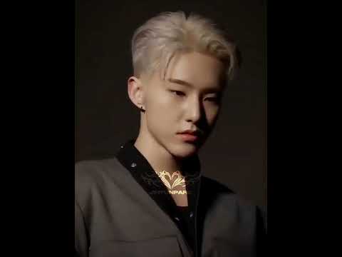 Not Around [Hoshi] #hoshi #seventeen #kpop #viral #trending #trendingshorts