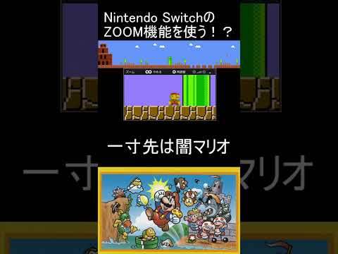 8-1 一寸先は闇マリオ Nintendo SwitchのZOOM機能を使う！？ ZOOM MARIO