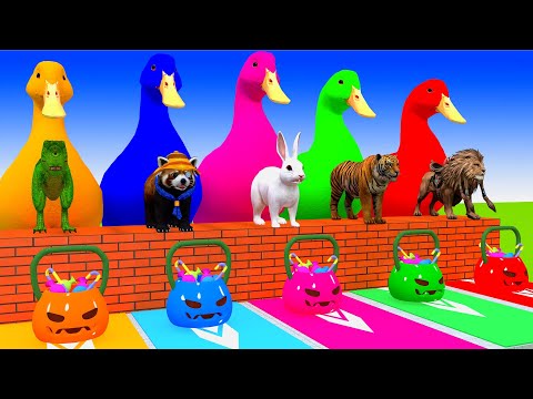 5 Giant Duck Cartoon, Cow, Giraffe, Elephant, Lion, Paint Wild Animals Crossing Fountain Animation 2