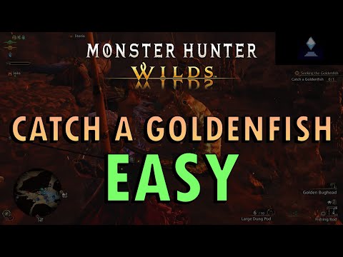 Monster Hunter Wilds - How to catch a Goldenfish (With Commentary) | Seeking the Goldenfish Guide